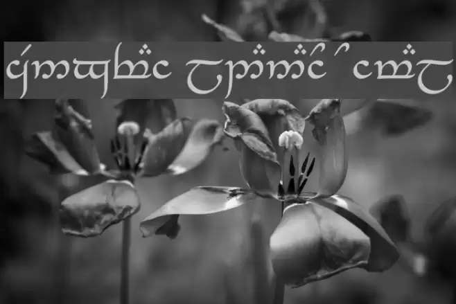 Tengwar_Eldanaro Normal Font examples