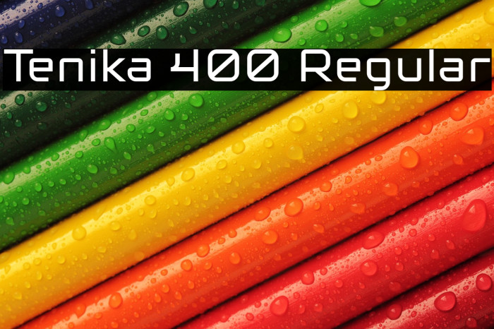 Tenika 400 Regular Example 1