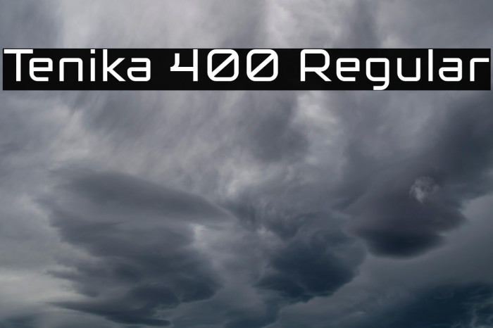 Tenika 400 Regular Example 2