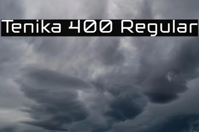 Tenika 400 Regular Example 2