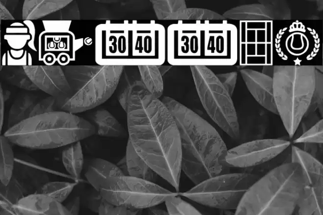 Tennis Font examples