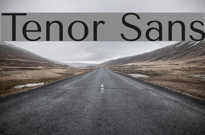 Tenor Sans Font examples