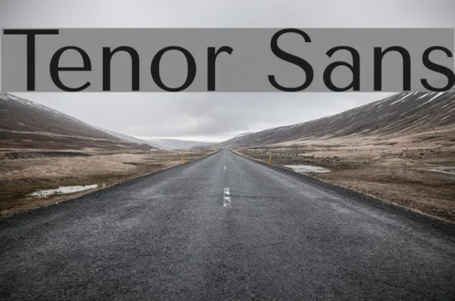 Tenor Sans Example 1