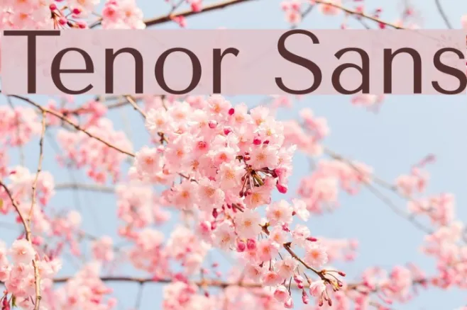 Tenor Sans Example 2