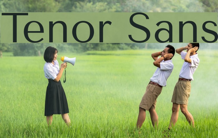 Tenor Sans Font examples