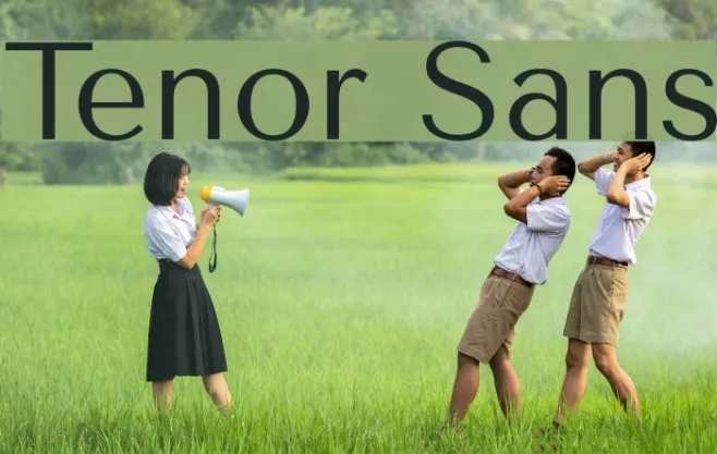 Tenor Sans Example 3
