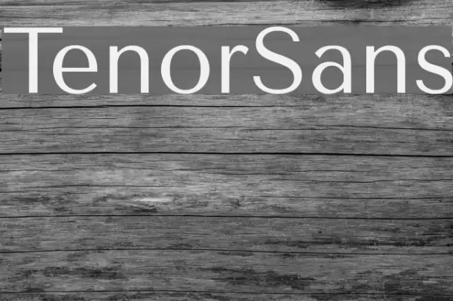 TenorSans Font examples