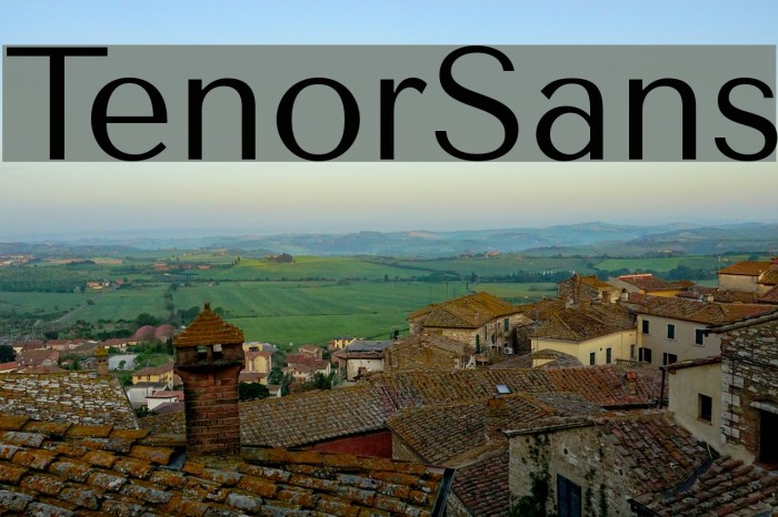 TenorSans Font examples