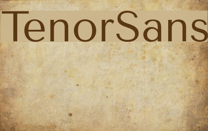 TenorSans Font examples