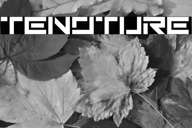 Tenoture Font examples