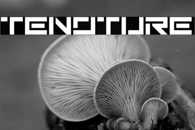 Tenoture Font examples