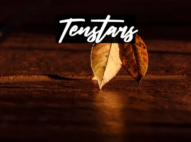 Tenstars Example 1