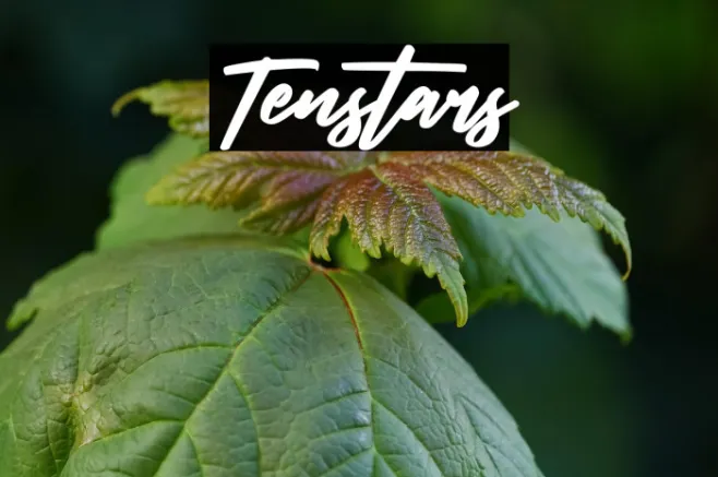 Tenstars Example 3