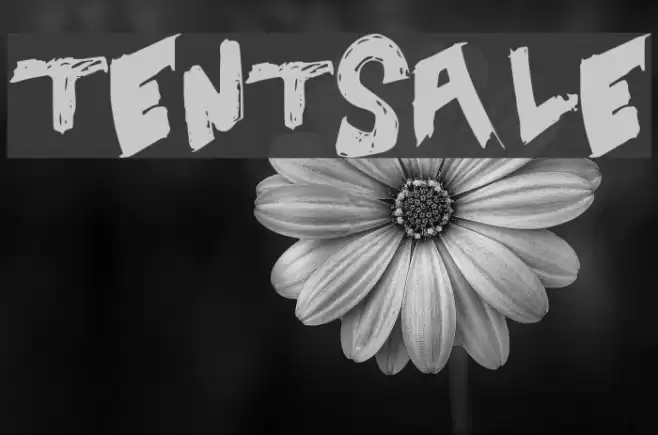 TentSale Font examples