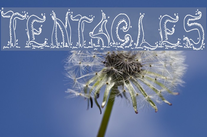 Tentacles Font examples