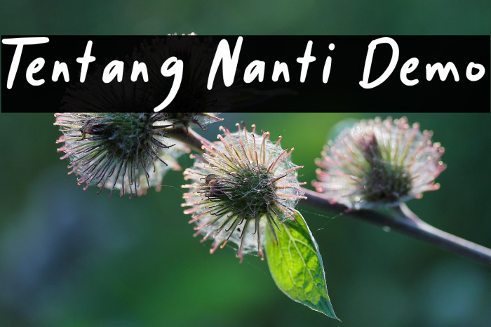 Tentang Nanti Demo Example 1