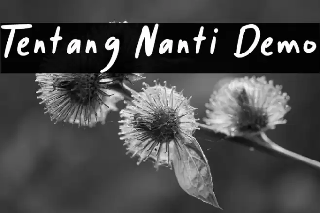 Tentang Nanti Demo Font examples