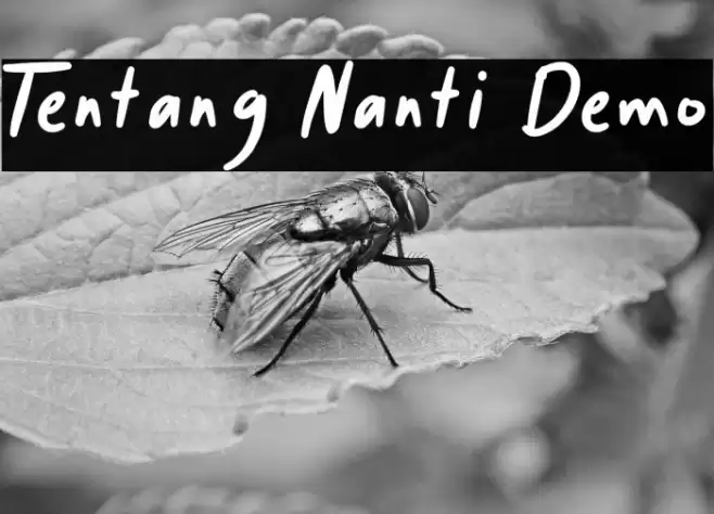 Tentang Nanti Demo Font examples