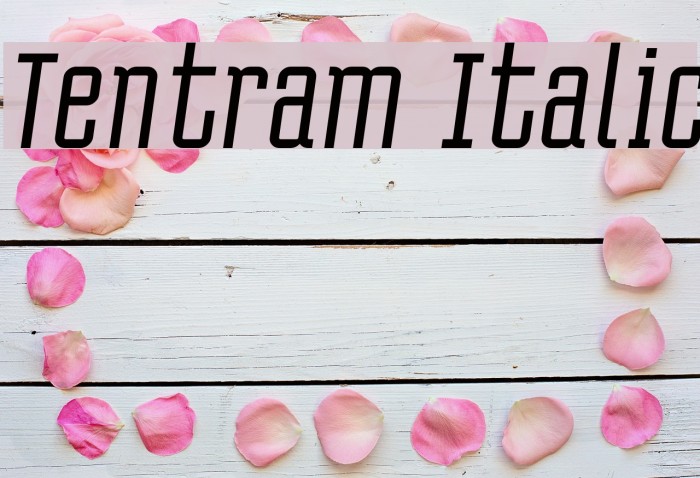 Tentram Italic Font examples