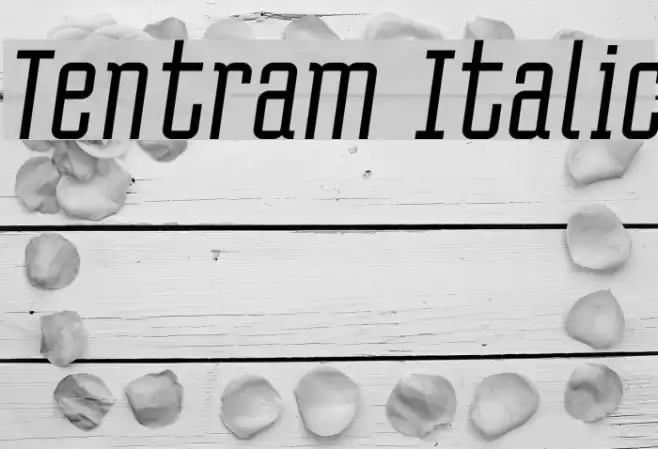 Tentram Italic Fuentes examples