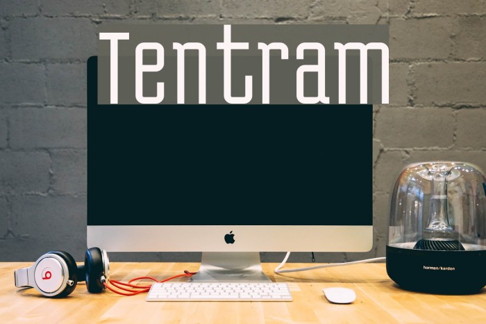 Tentram Font examples