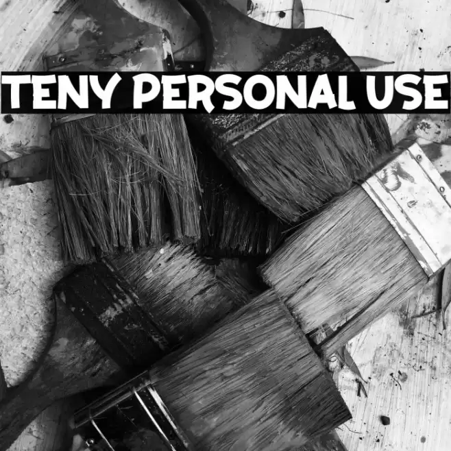 Teny Personal Use Font examples