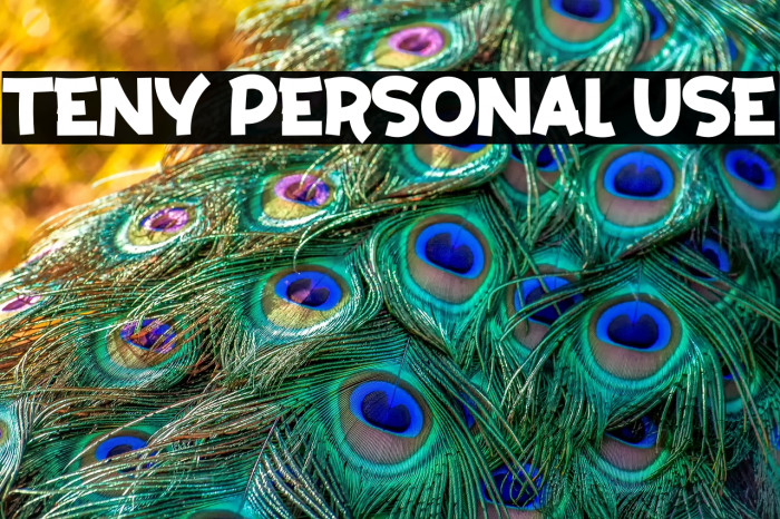 Teny Personal Use Example 2