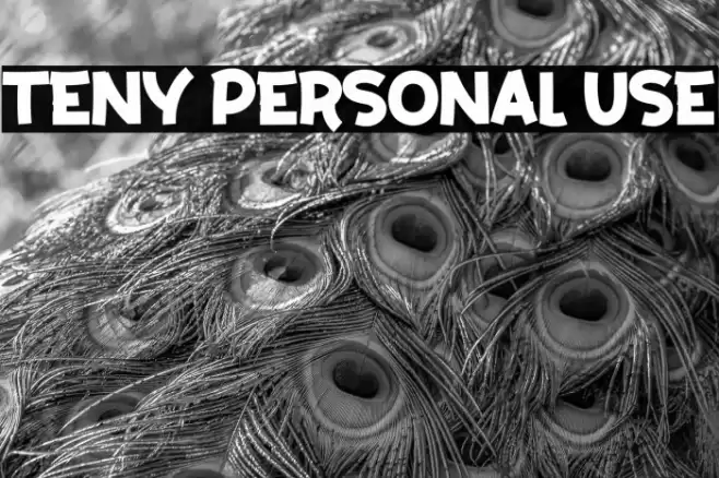 Teny Personal Use Font examples