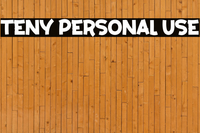 Teny Personal Use Example 3