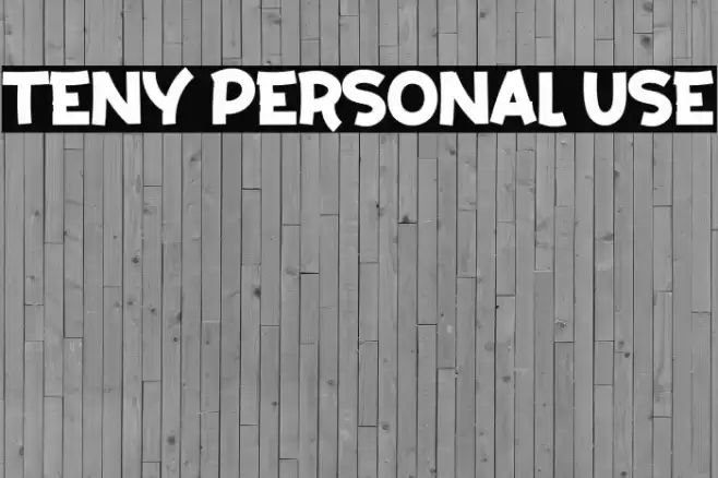 Teny Personal Use Font examples