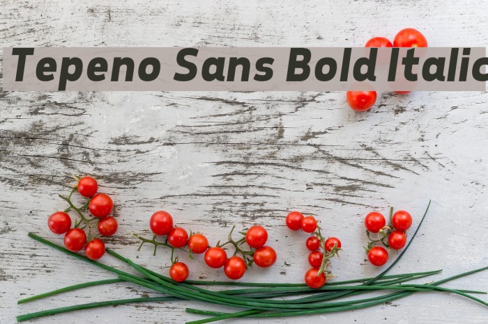 Tepeno Sans Bold Italic Font examples