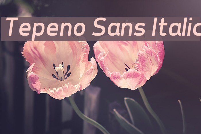 Tepeno Sans Italic Font examples