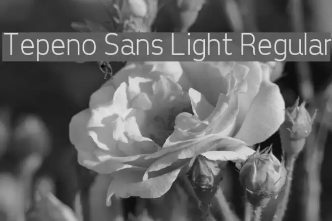 Tepeno Sans Light Regular  examples