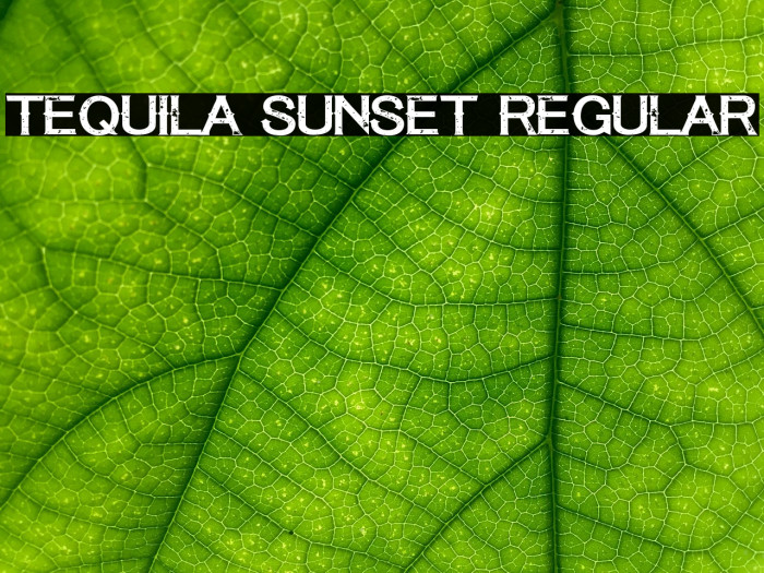 Tequila Sunset Regular Example 1