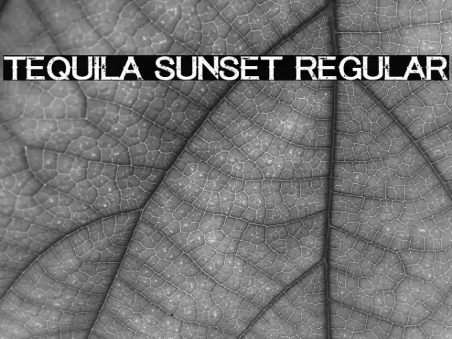 Tequila Sunset Regular Font examples