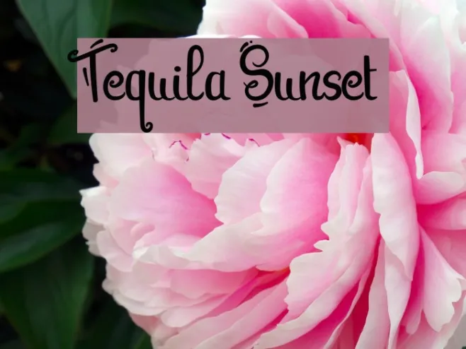 Tequila Sunset Example 3