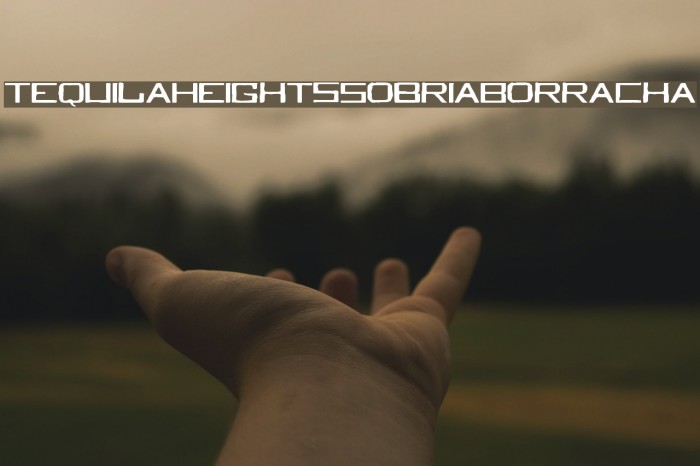 TequilaHeightsSobriaBorracha Font examples