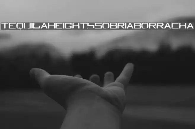 TequilaHeightsSobriaBorracha Schriftart examples