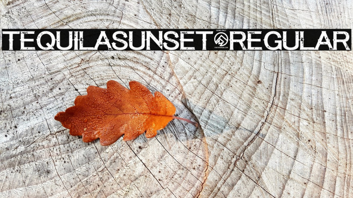 TequilaSunset-Regular Font examples