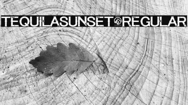 TequilaSunset-Regular Font examples