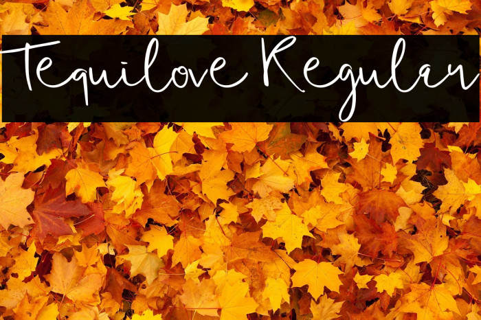 Tequilove Regular Example 1