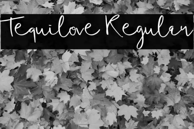Tequilove Regular Font examples