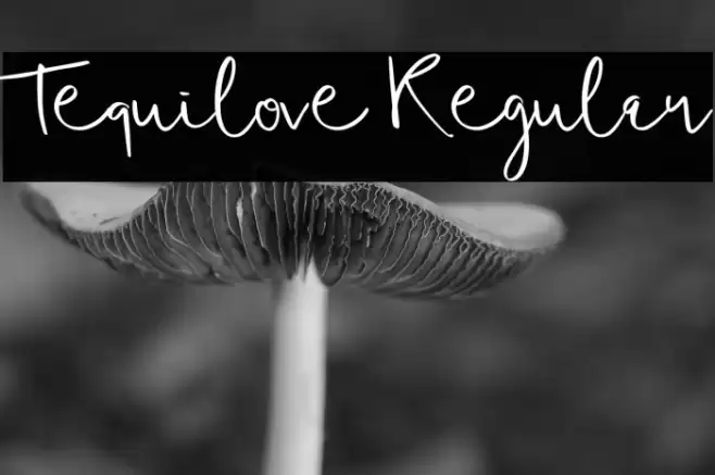 Tequilove Regular Font examples