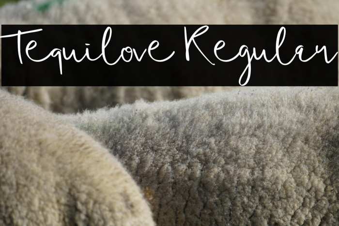 Tequilove Regular Example 3