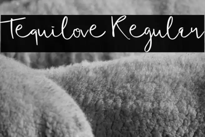 Tequilove Regular Font examples