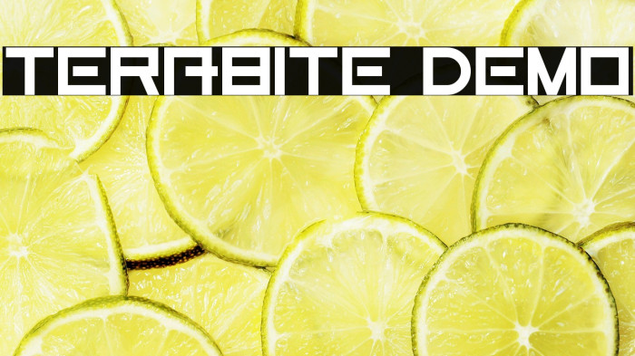 Terabite Demo Example 1