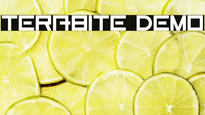 Terabite Demo Example 1
