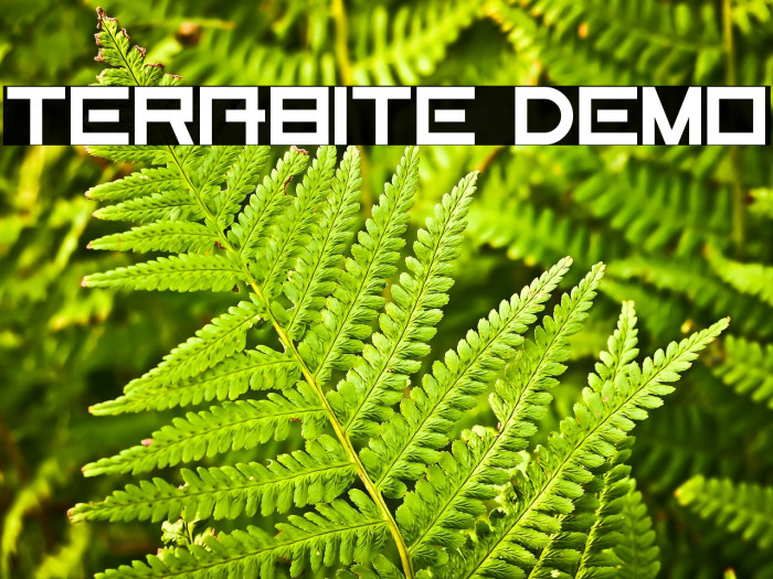 Terabite Demo Example 2