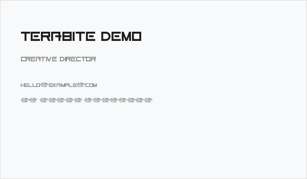 Terabite Demo Business Card