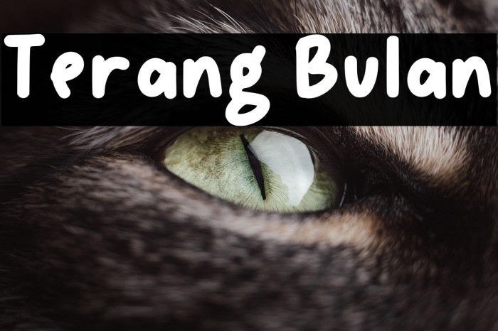 Terang Bulan Example 3